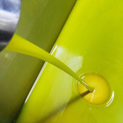 Olio Extravergine di Oliva BIO